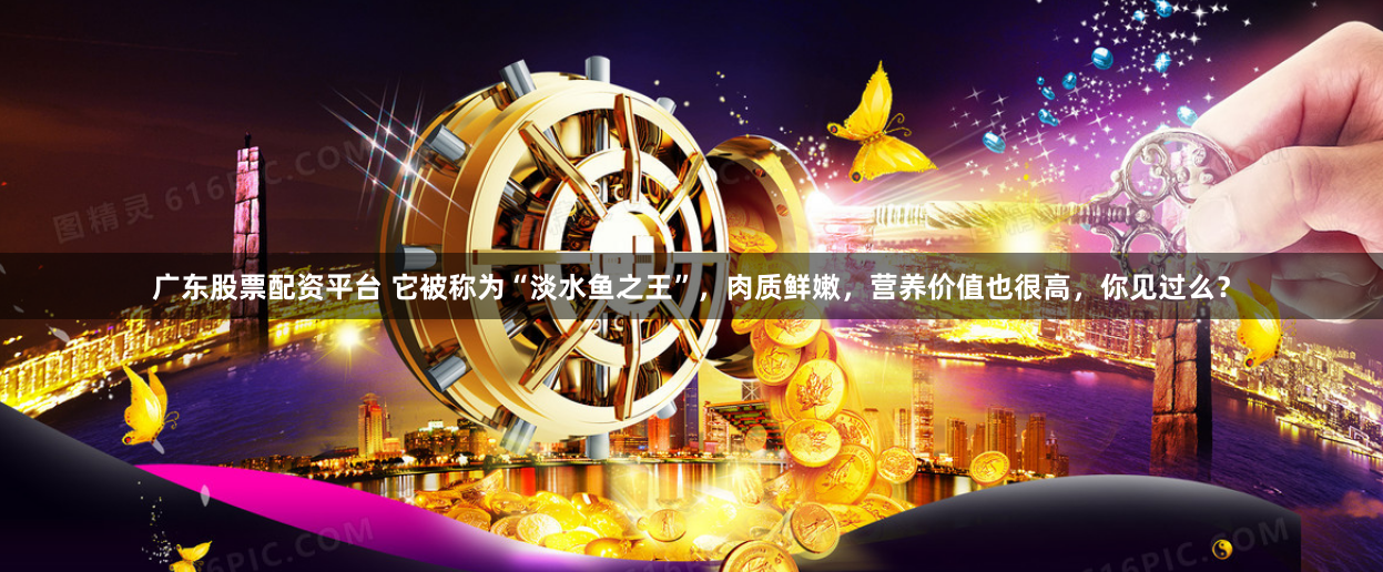 广东股票配资平台 它被称为“淡水鱼之王”，肉质鲜嫩，营养价值也很高，你见过么？