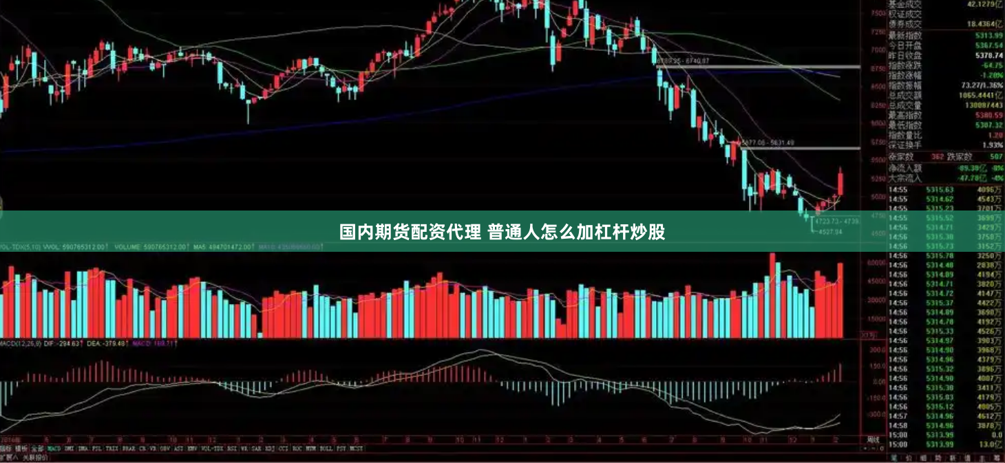 国内期货配资代理 普通人怎么加杠杆炒股
