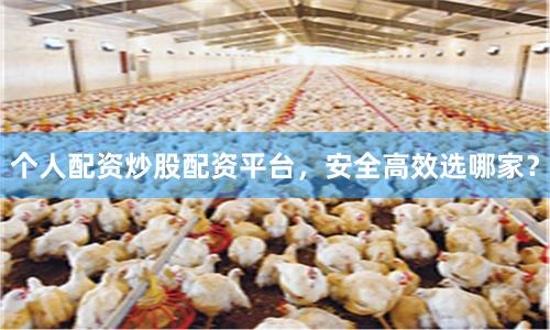 个人配资炒股配资平台，安全高效选哪家？