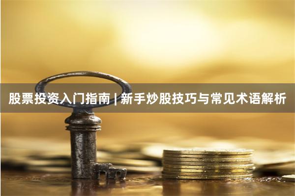 股票投资入门指南 | 新手炒股技巧与常见术语解析