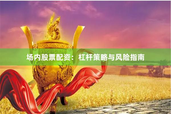 场内股票配资：杠杆策略与风险指南