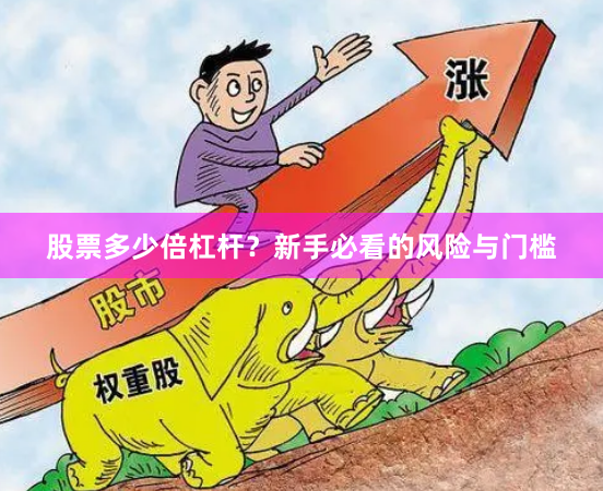 股票多少倍杠杆？新手必看的风险与门槛