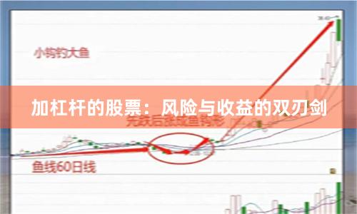 加杠杆的股票：风险与收益的双刃剑
